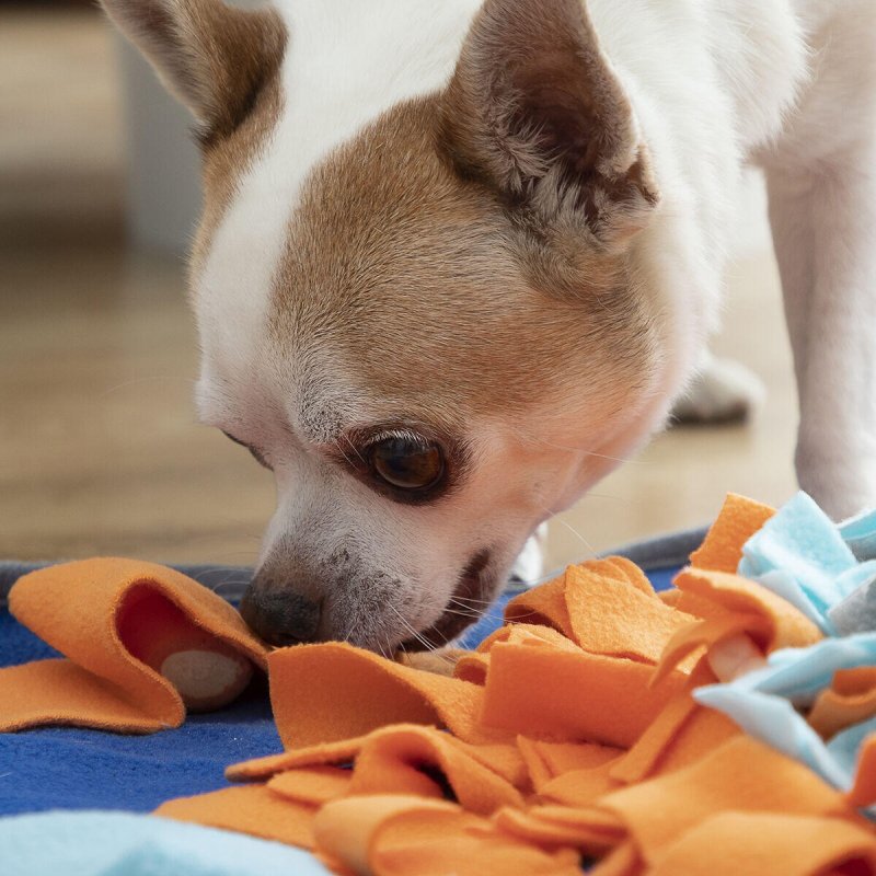 Alfombra Olfativa para Mascotas Fooland - Pequiti