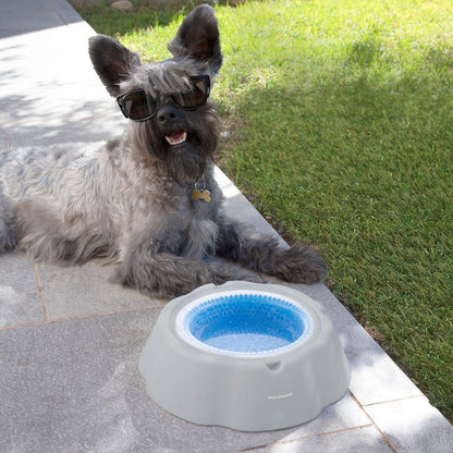 Bebedero Refrescante para Mascotas Freshty - Pequiti