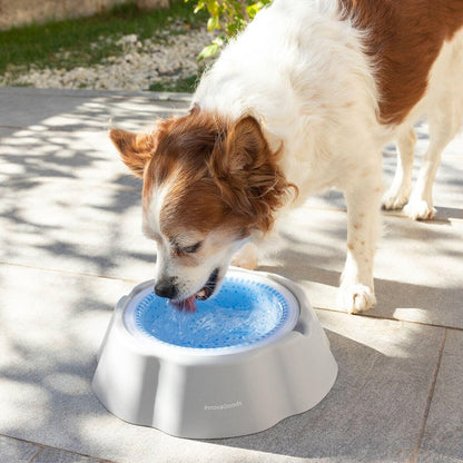 Bebedero Refrescante para Mascotas Freshty - Pequiti